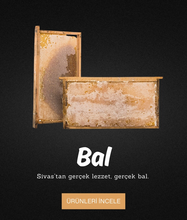 Bal